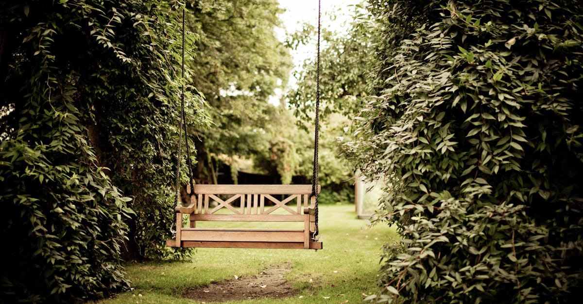 Automated Watering Systems: A Modern Solution for Gardeners