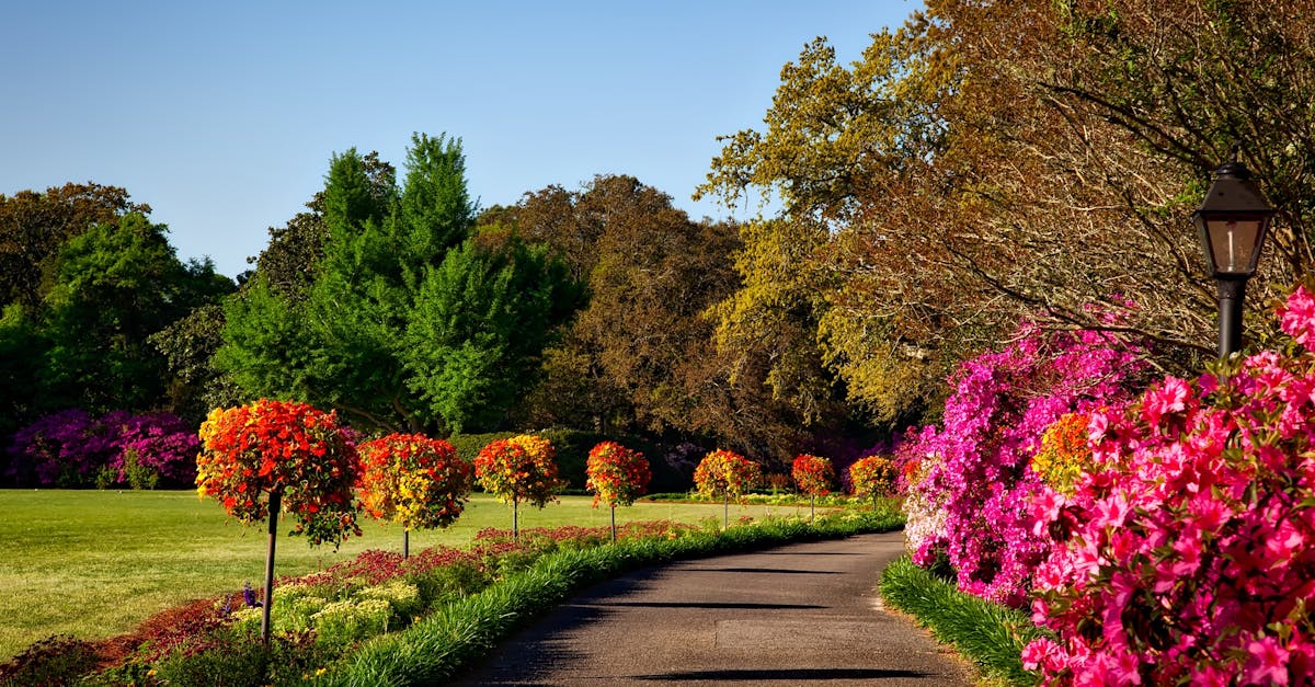 Choosing Perennials for Drought-Resistant Landscaping