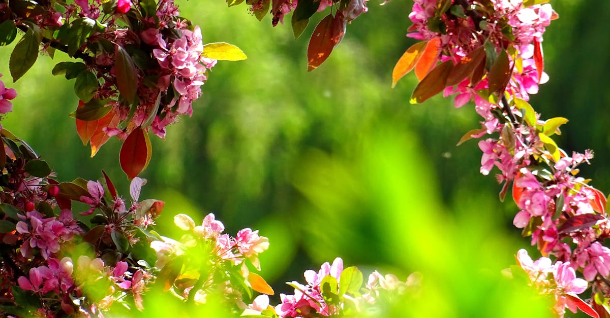 Identifying Common Garden Pests and Their Impact on Plant Health
