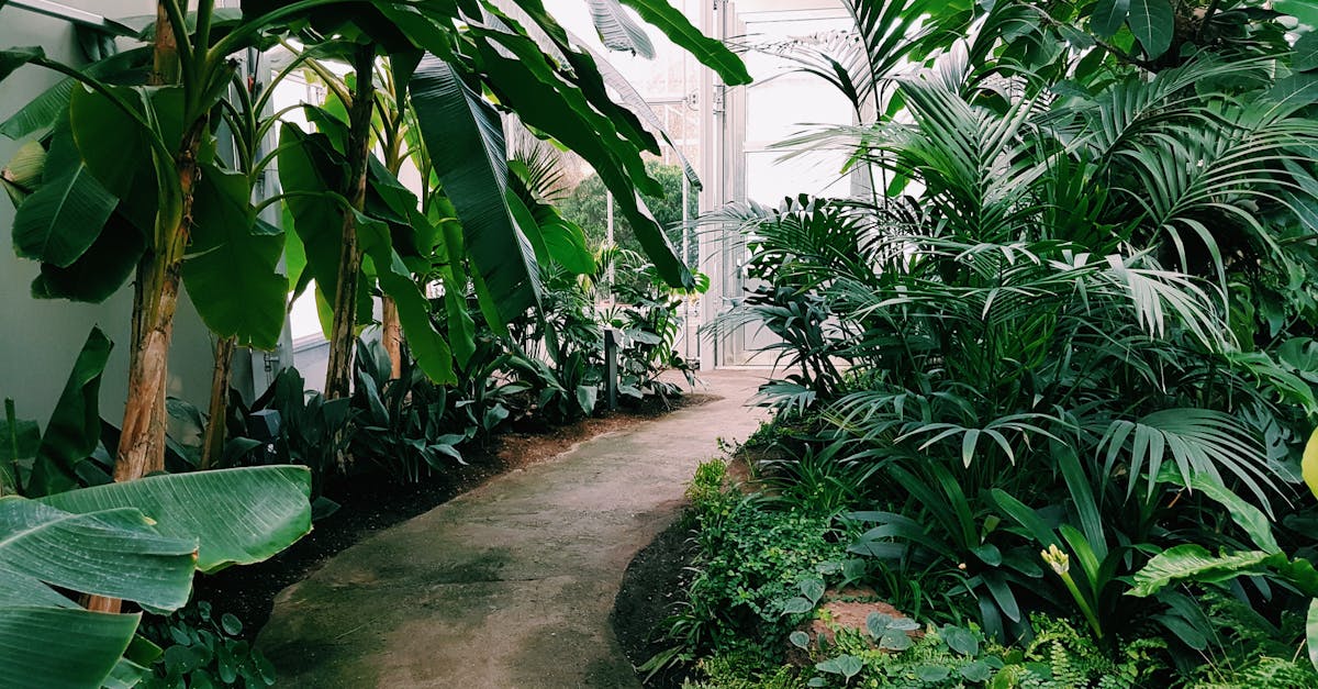 Natural Mulching Techniques to Enhance Seasonal Care