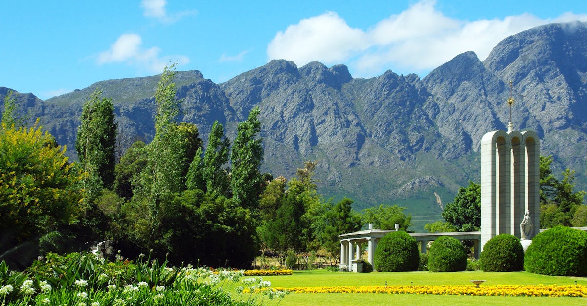 Strategies for Preventing Soil Erosion in Garden Design