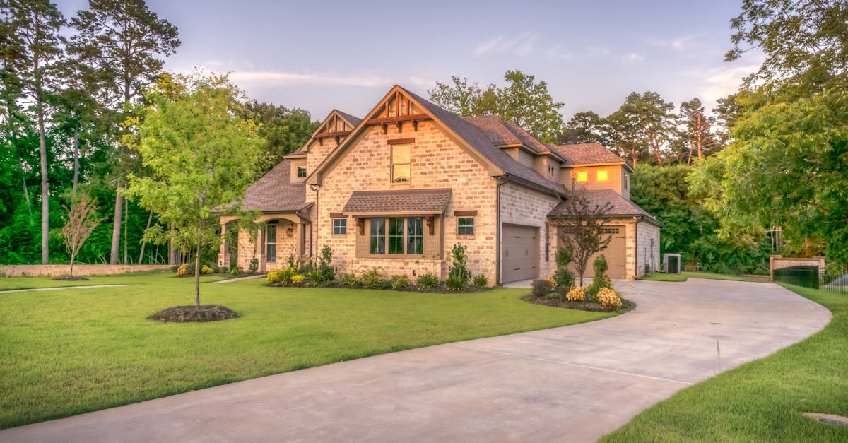 The Art of Succession Planting for Year-Round Interest