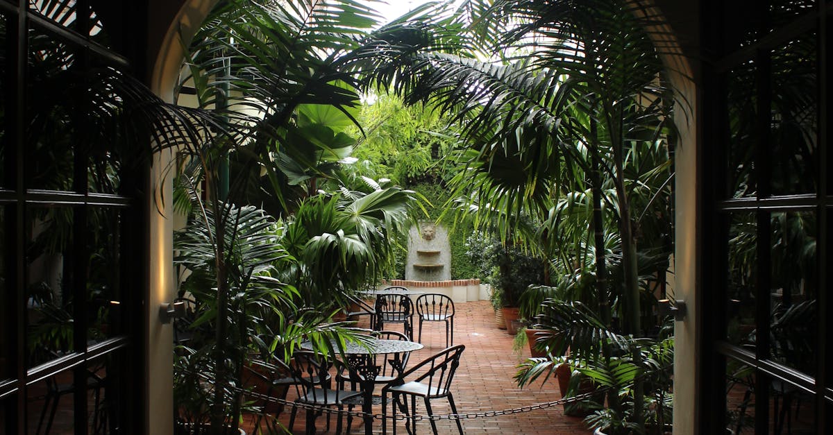 The Benefits of Native Shrubs in Urban Gardens